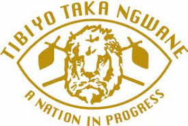 Tibiyo TakaNgwane Scholarship